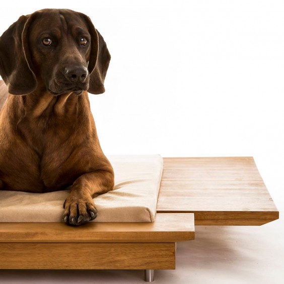 Brando Mira 2 Hunde- Katzenbett - Agof Store