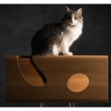 Brando Cat60 Wood cat bed with pedestal - Agof Store