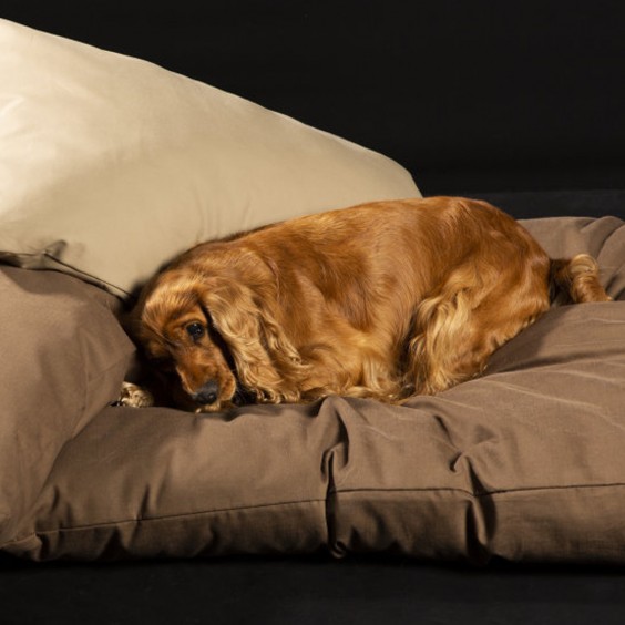 Brando Ninfea dog & cat cushion - Agof Store