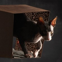 Brando Tunnel cat bed with pedestal - Agof Store
