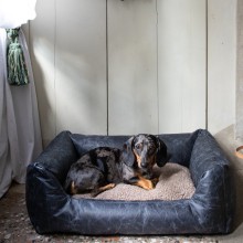 Henri cuccia per cani Duepuntootto - Agof Store