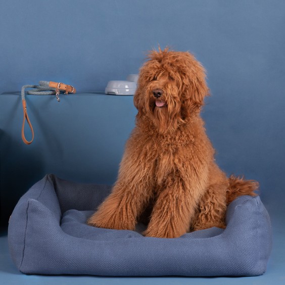 Henri cuccia per cani Duepuntootto - Agof Store
