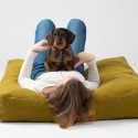 Duepuntootto Elliott dog cushion - Agof Store