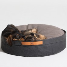 Duepuntootto Irving dog cushion - Agof Store