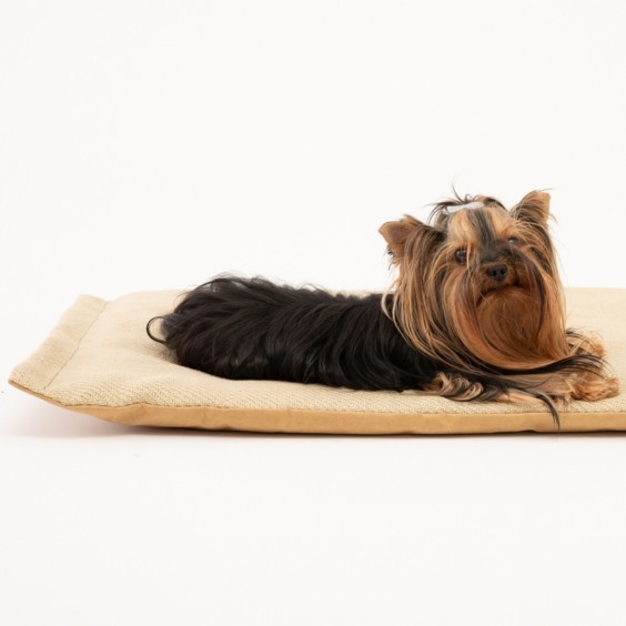 Richard cuscino per cani Duepuntootto - Agof Store
