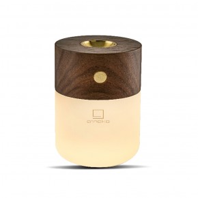 Gingko Smart Diffuser Lamp with fragrance diffuser - Agof Store