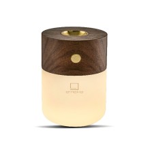 Smart Diffuser Lamp lampada con diffusore profumi Gingko - Agof Store