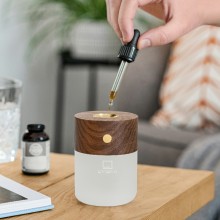 Gingko Smart Diffuser Lamp with fragrance diffuser - Agof Store