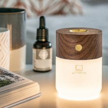 Gingko Smart Diffuser Lamp with fragrance diffuser - Agof Store