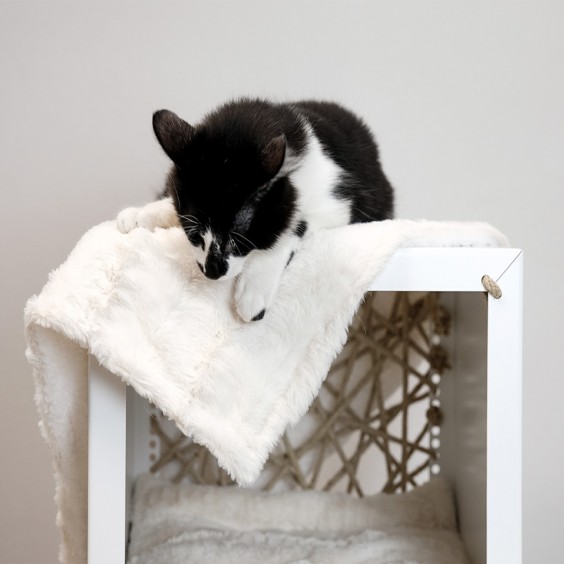 DON ARTURO Ricotta | Pet Blanket | Agof Store