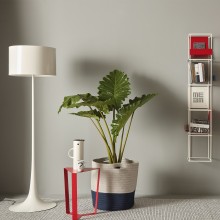 Meme Design Libro Verticale Bookshelf - Agof Store