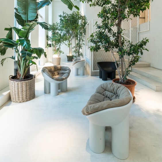 Driade Roly Poly Armchair - Agof Store