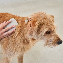 MiaCara Pelo dog brush - Agof Store