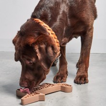 Volpe giocattolo per cani MiaCara - Agof Store