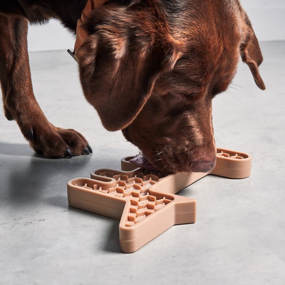 Volpe giocattolo per cani MiaCara - Agof Store