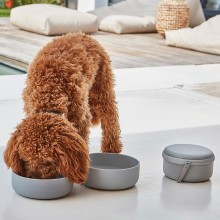 MiaCara Bento Reisenapf-Set für Hunde - Agof Store