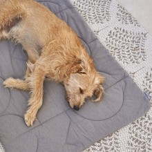 MiaCara Linea quilted dog blanket - Agof Store