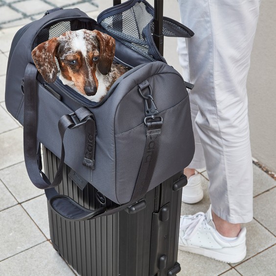 MiaCara Volata dog carrier - Agof Store
