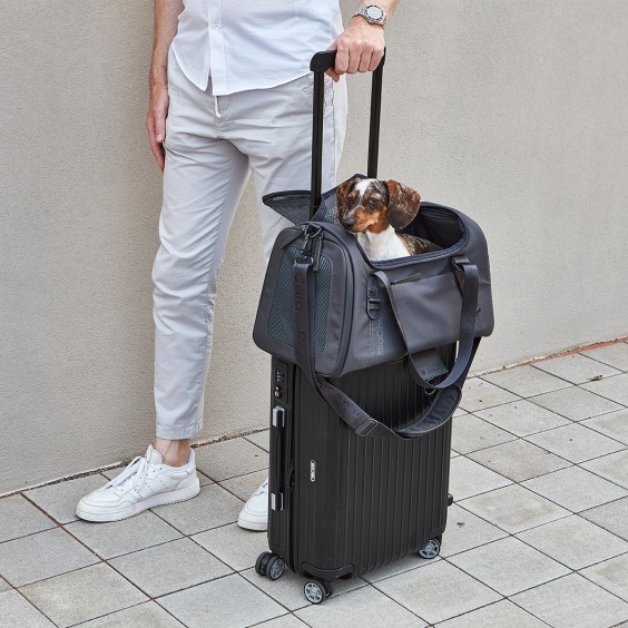 MiaCara Volata dog carrier - Agof Store