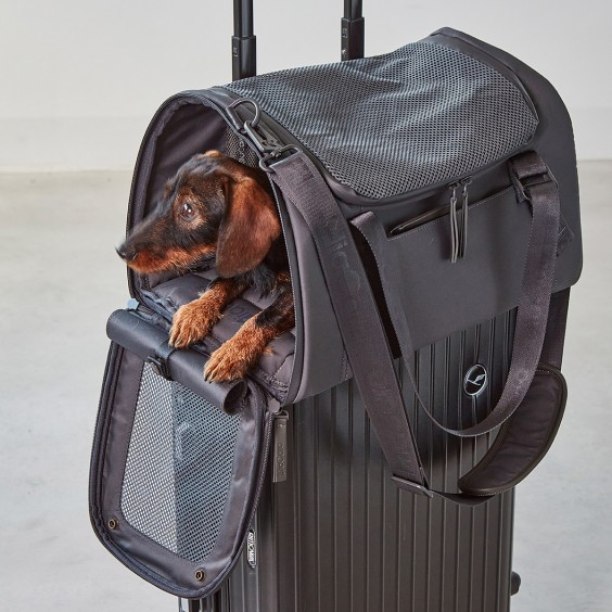 MiaCara Volata dog carrier - Agof Store