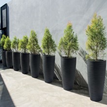 NICOLI Talos Elegance | Blumentopf | Agof Store