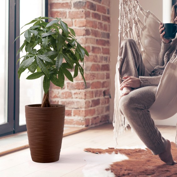 NICOLI Tylus Elegance | Pot | Agof Store