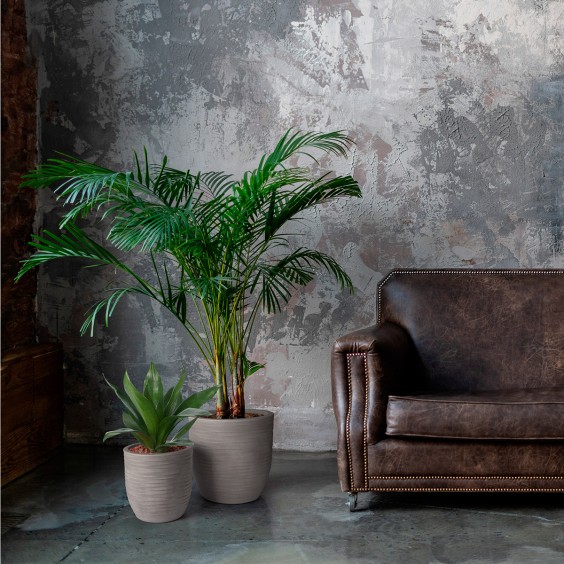 NICOLI Rhea Elegance | Pot | Agof Store