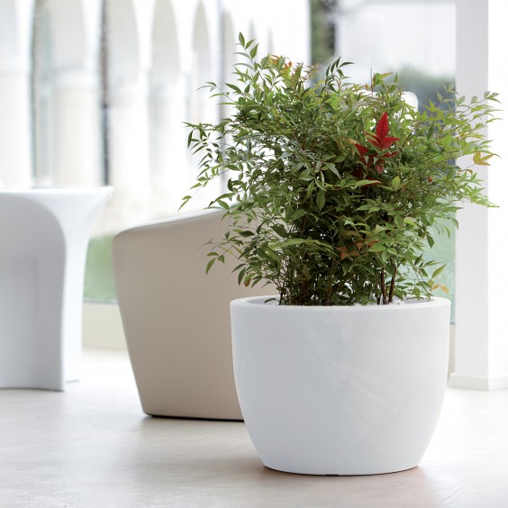NICOLI Hera | Pot | Agof Store