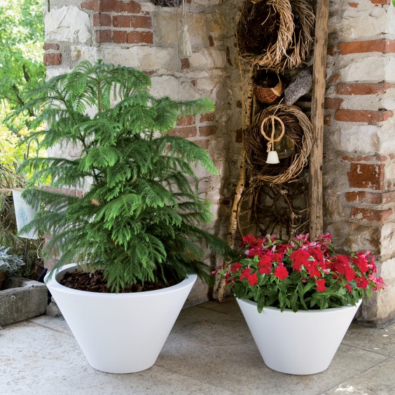 NICOLI Chiron | Pot | Agof Store