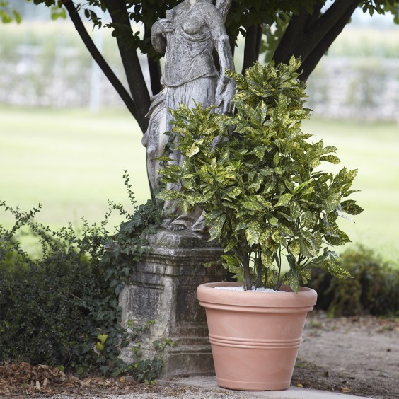 NICOLI Doppio Bordo Liscio | Pot | Agof Store