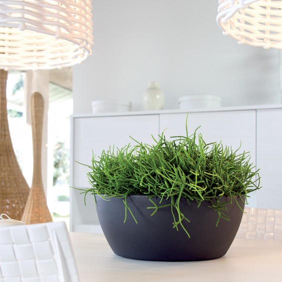 NICOLI Thetis | Pot | Agof Store