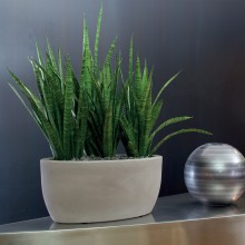 NICOLI Athena | Blumentopf | Agof Store