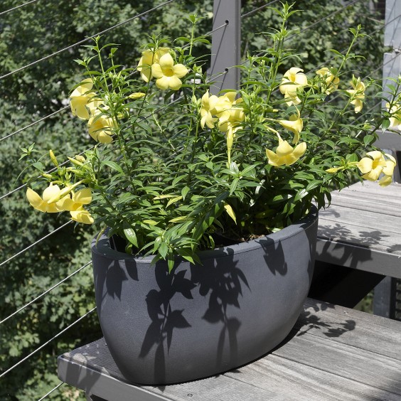 NICOLI Athena | Pot | Agof Store