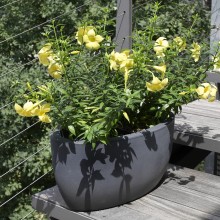 NICOLI Athena | Pot | Agof Store NICOLI Athena | Pot | Agof Store