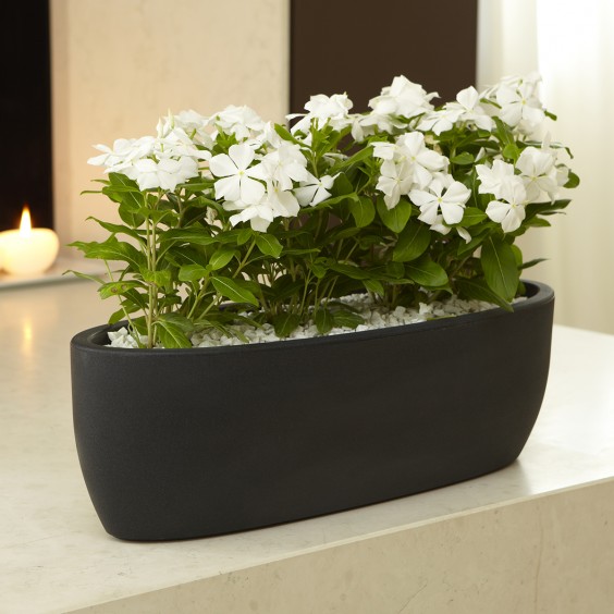 NICOLI Iris | Pot | Agof Store