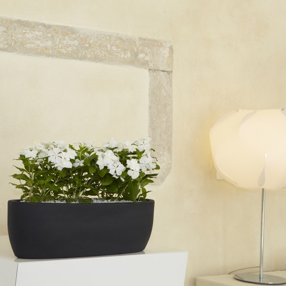NICOLI Iris | Vaso | Agof Store