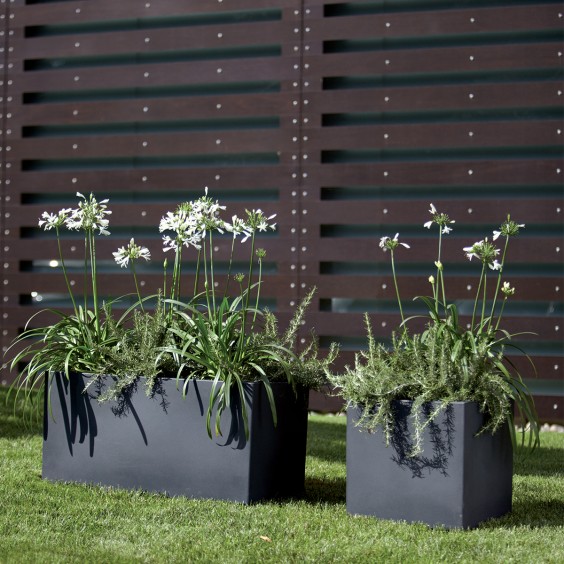 NICOLI Modus Quadro | Pot | Agof Store