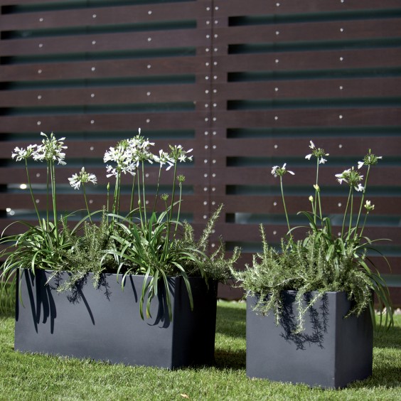 NICOLI Modus Cassetta | Blumentopf | Agof Store
