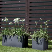 NICOLI Modus Cassetta | Pot | Agof Store