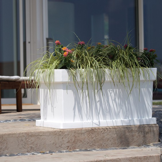 NICOLI Themis Cassetta | Pot | Agof Store