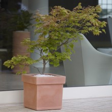 NICOLI Themis Quadro | Blumentopf | Agof Store