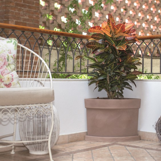 NICOLI Themis Angolare | Blumentopf | Agof Store
