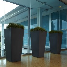 NICOLI Eros | Blumentopf | Agof Store