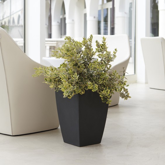 NICOLI Logos Matt | Blumentopf | Agof Store
