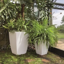 NICOLI Logos Matt | Blumentopf | Agof Store