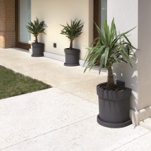 NICOLI Themis Parete | Blumentopf | Agof Store