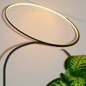 Kdln Poise floor lamp - Agof Store