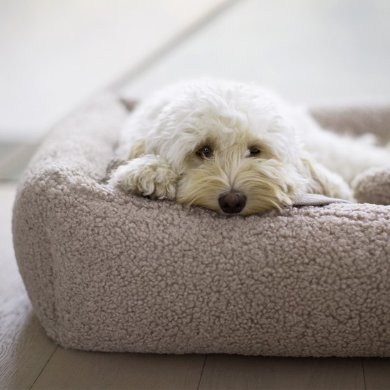 MiaCara Senso Hundebett - Agof Store