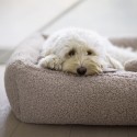 MiaCara Senso dog bed - Agof Store