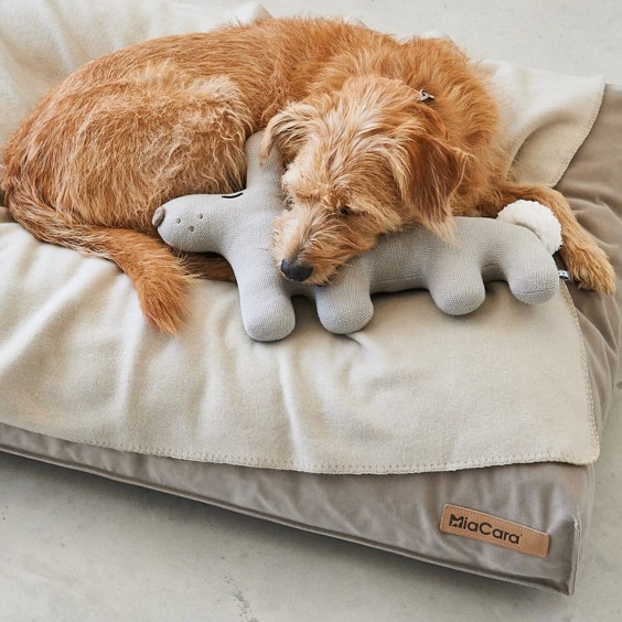 MiaCara Bosco il Coniglio Hundespielzeug - Agof Store